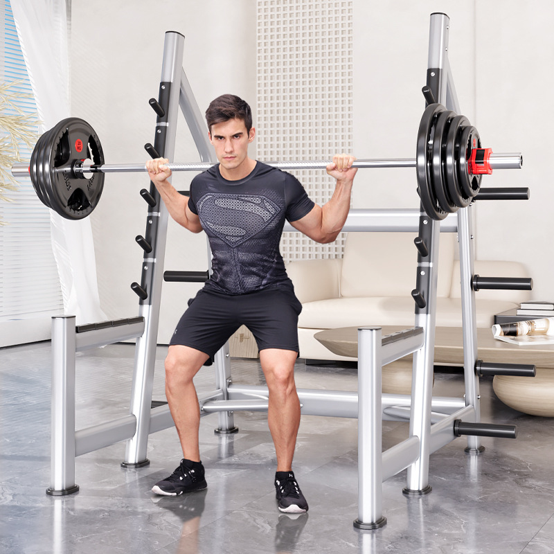 Squat Rack Power Cage, Plate L - Heavy Equipment Training 评论和价格