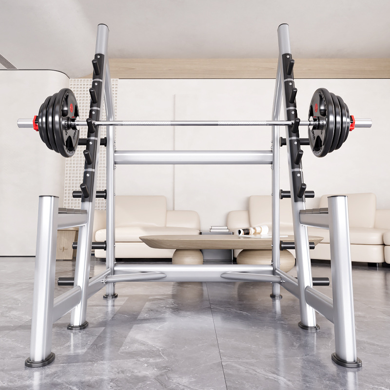 Squat Rack Power Cage, Plate L - Heavy Equipment Training 评论和价格