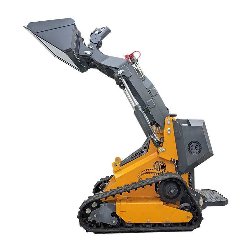 Chinese loader small skid stee - Wheel Loader 评论和价格