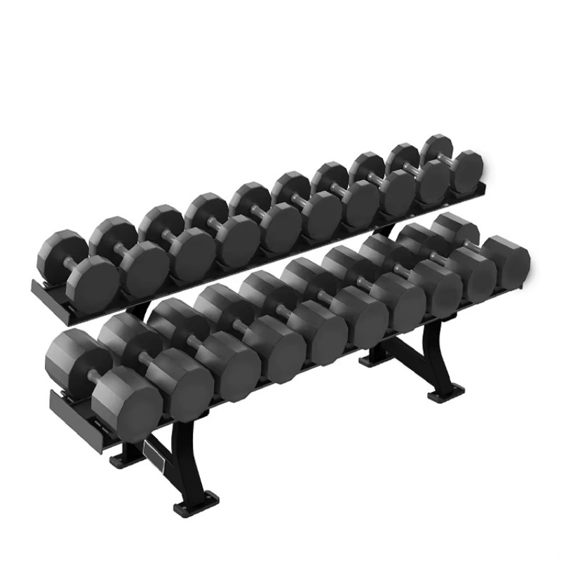 2-Tier 10 Pairs Dumbbell Stora - Heavy Equipment Training 评论和价格